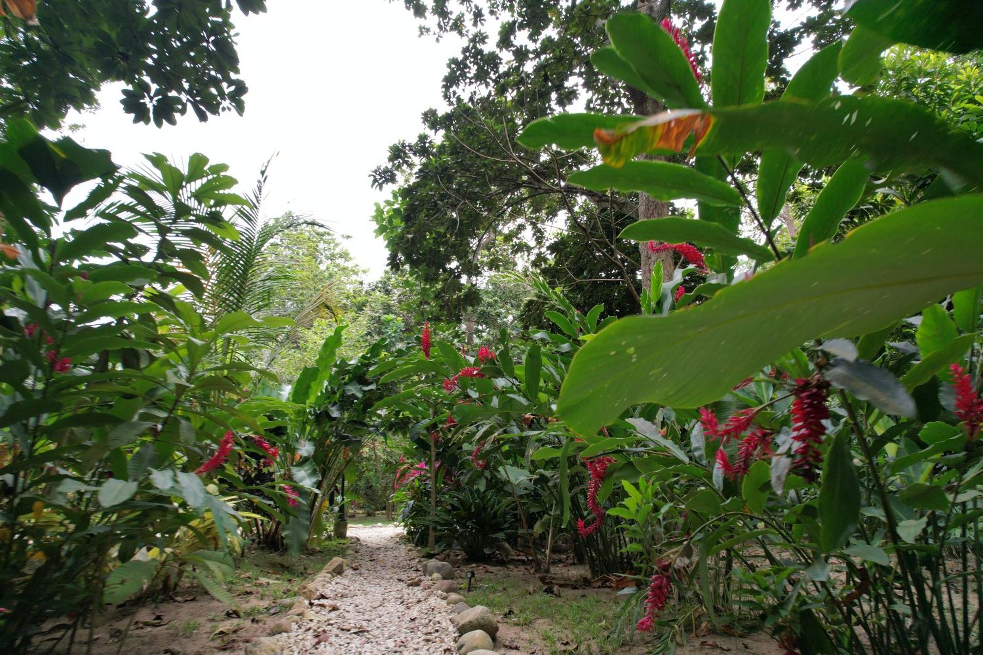 Salvia Madre Otel Guachaca Dış mekan fotoğraf