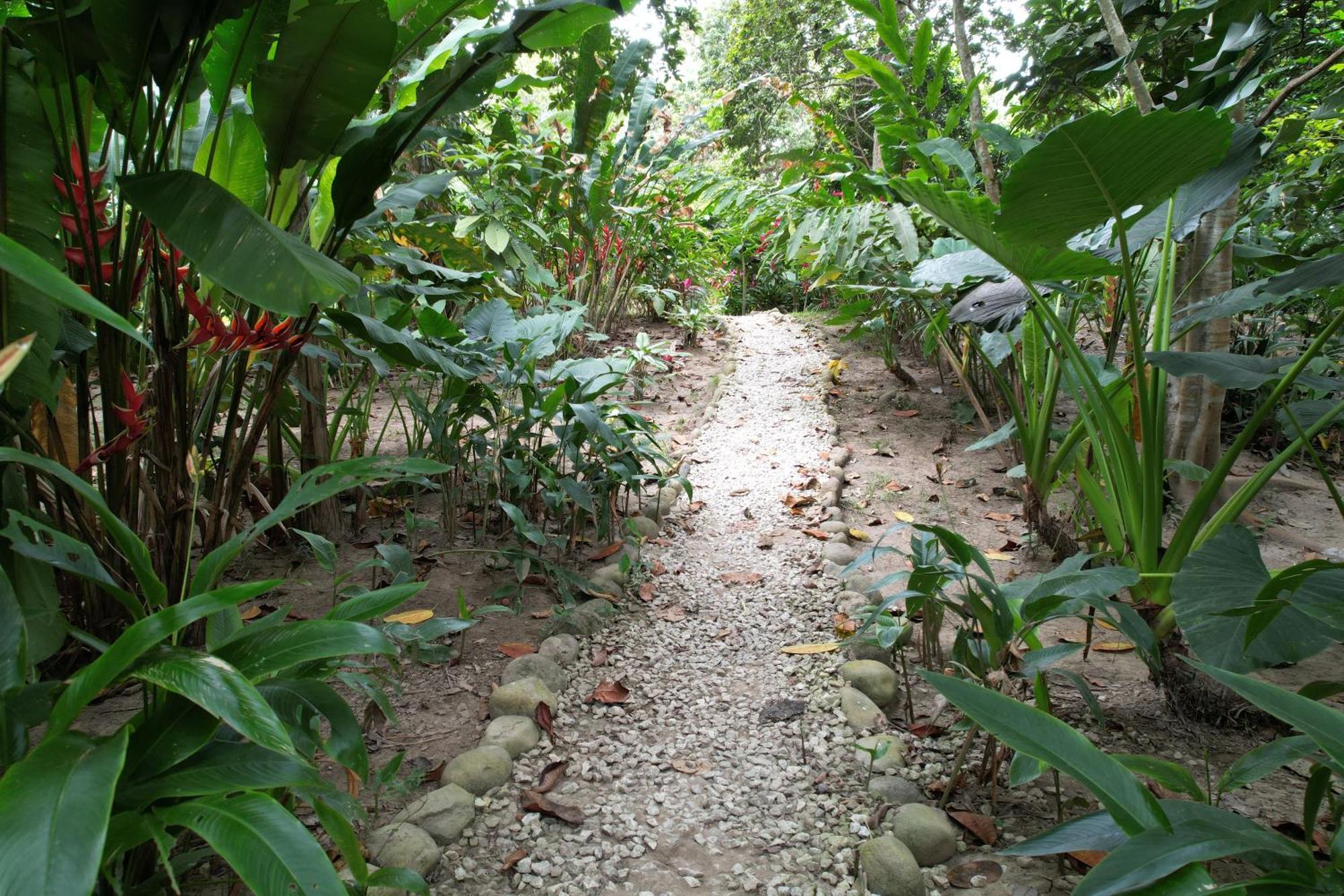 Salvia Madre Otel Guachaca Dış mekan fotoğraf