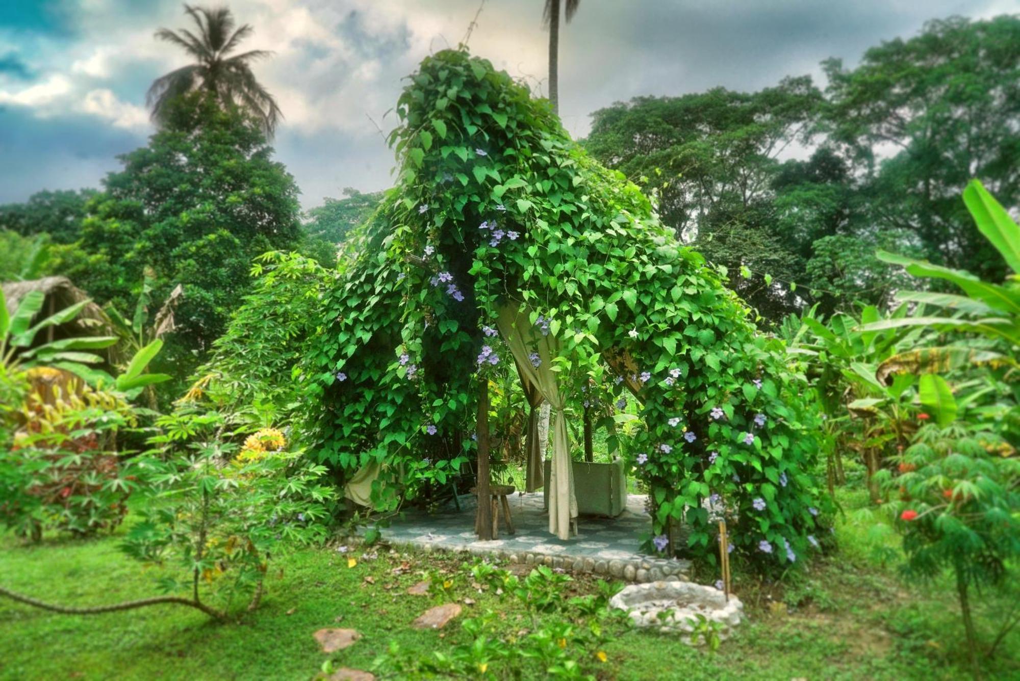Salvia Madre Otel Guachaca Dış mekan fotoğraf