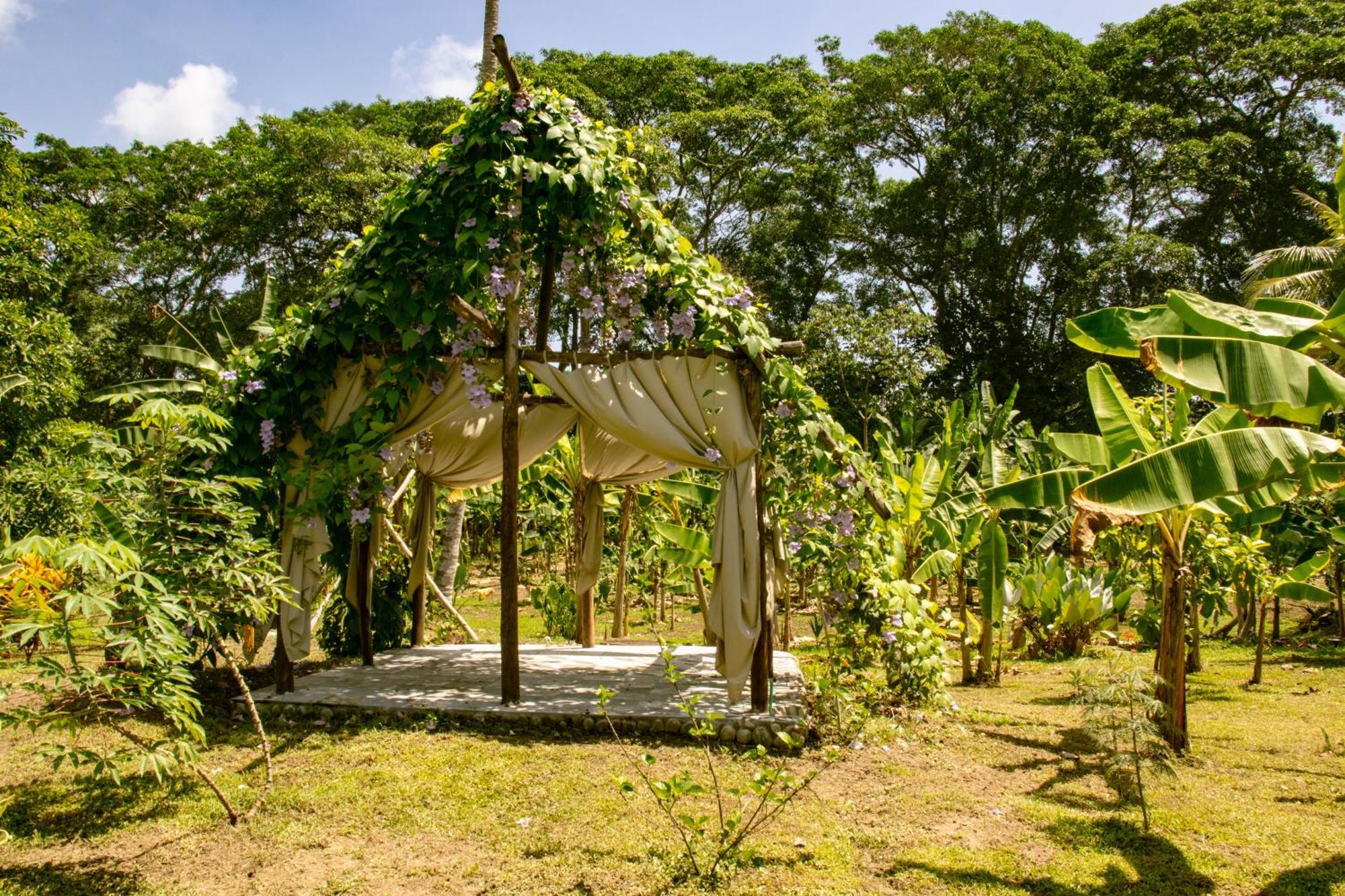 Salvia Madre Otel Guachaca Dış mekan fotoğraf