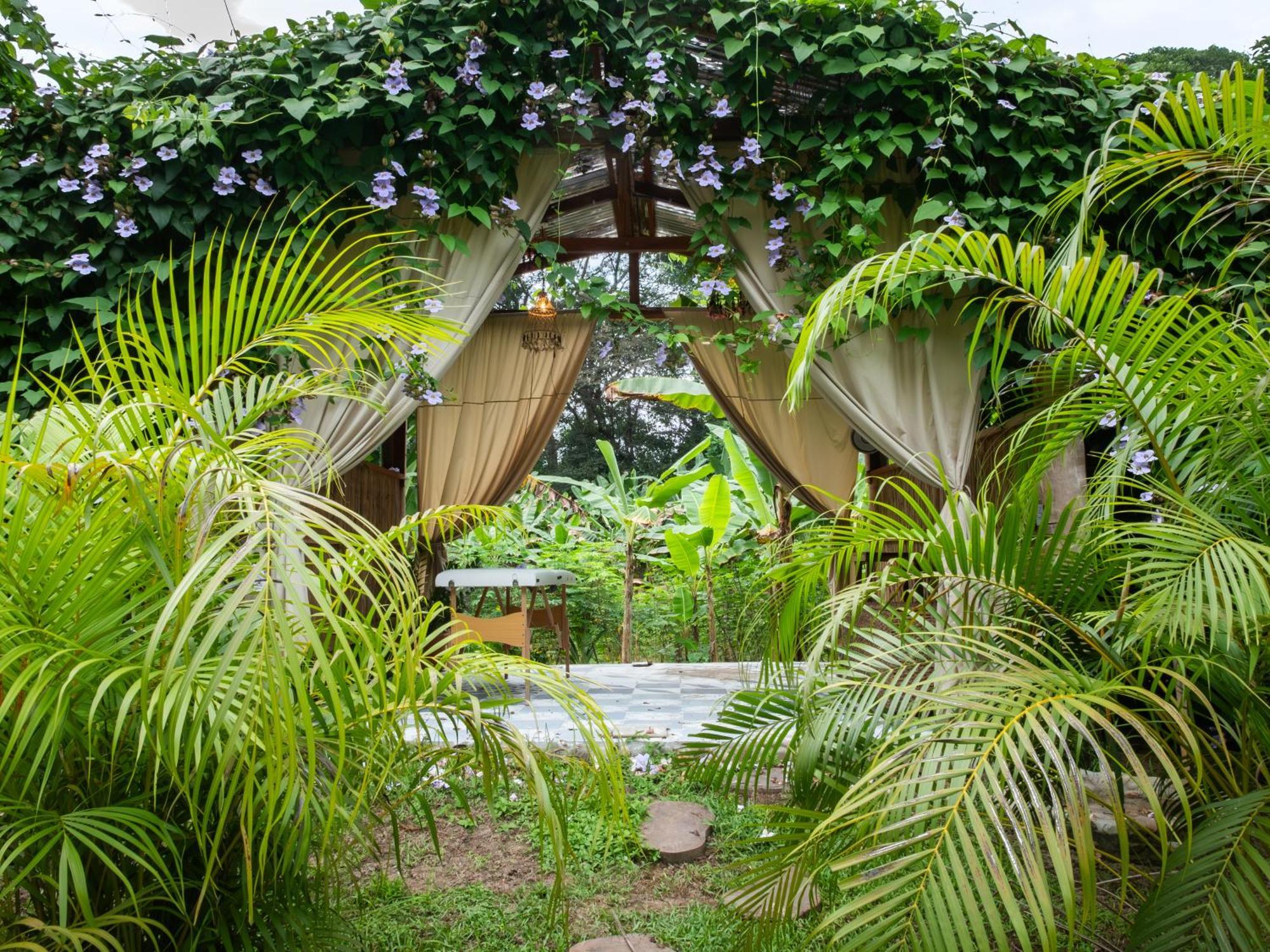 Salvia Madre Otel Guachaca Dış mekan fotoğraf