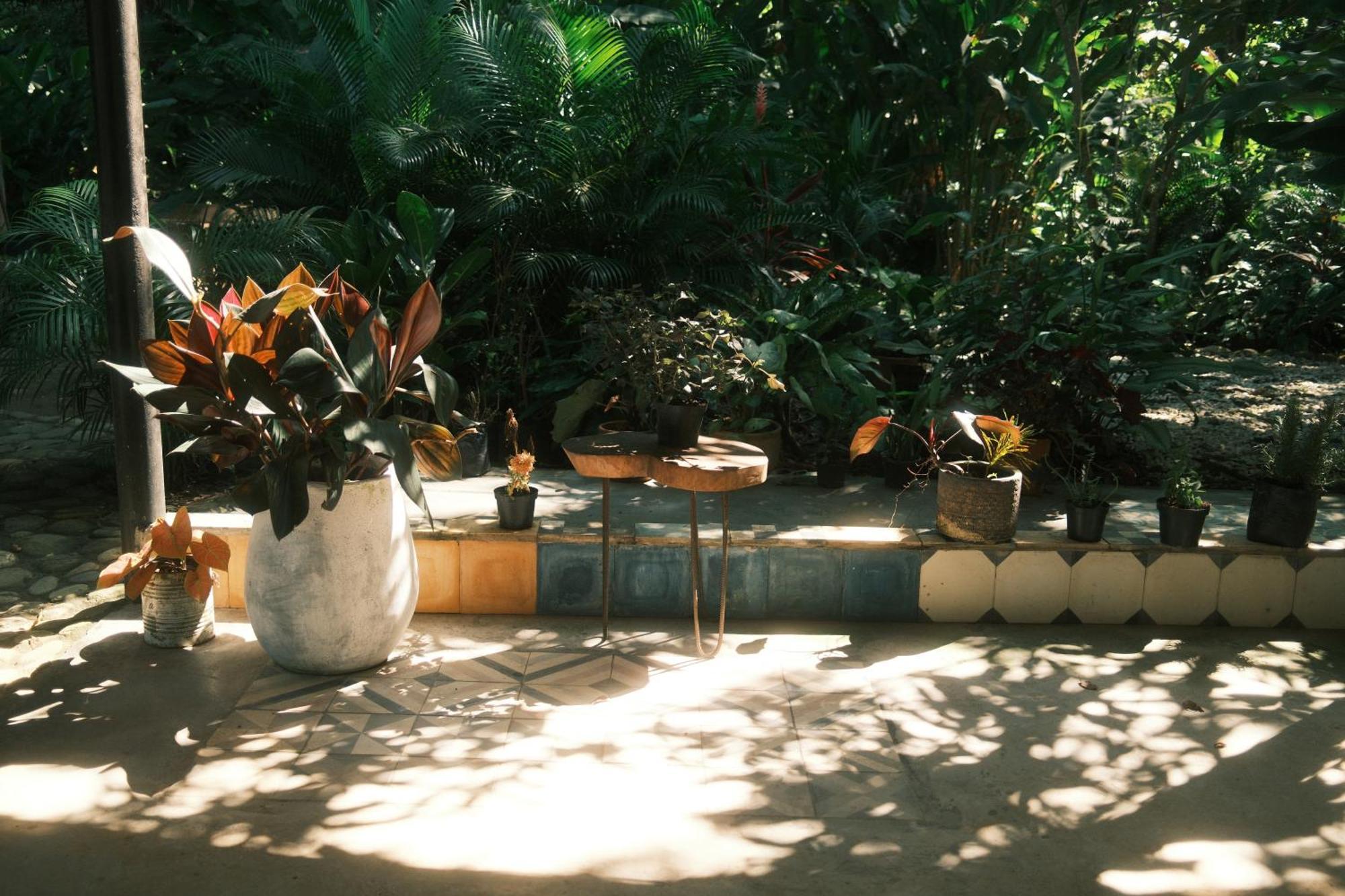 Salvia Madre Otel Guachaca Dış mekan fotoğraf