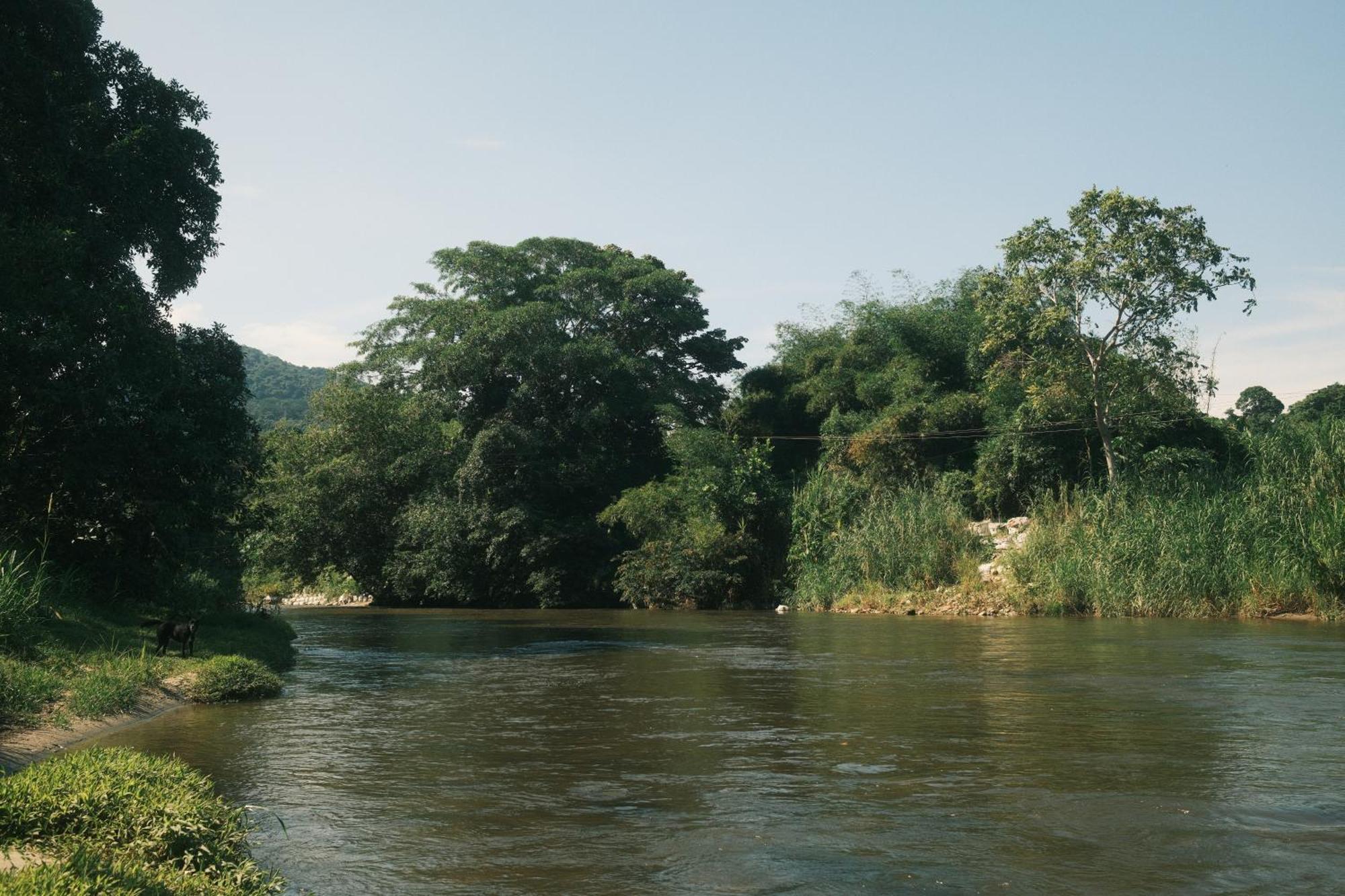 Salvia Madre Otel Guachaca Dış mekan fotoğraf