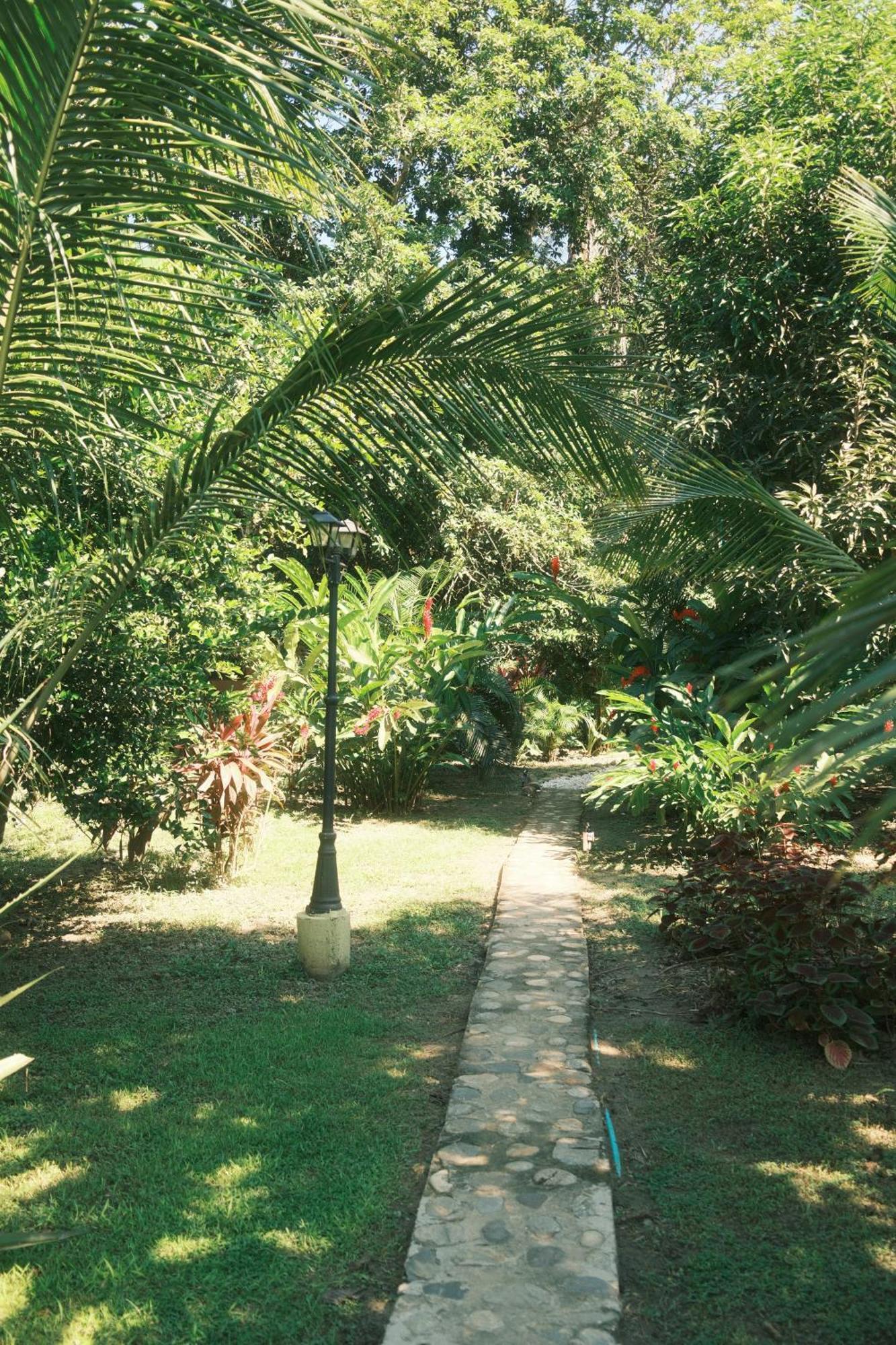 Salvia Madre Otel Guachaca Dış mekan fotoğraf